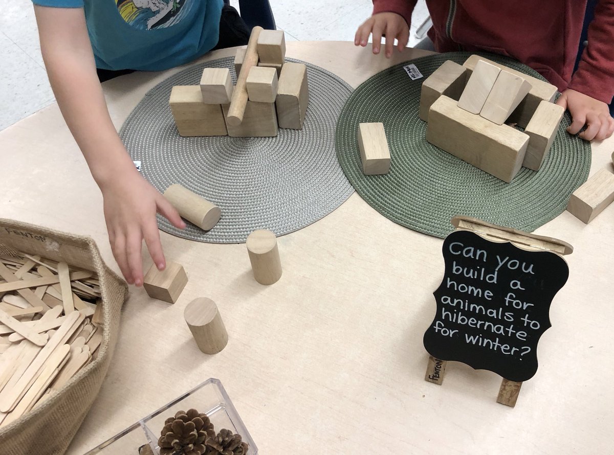 MsLaurenMax's tweet photo. Our #STEAM challenge this morning was to create a home that an animal could #hibernate in for the winter! @tdsb @TDSB_IRC https://t.co/NNawUP4Mar