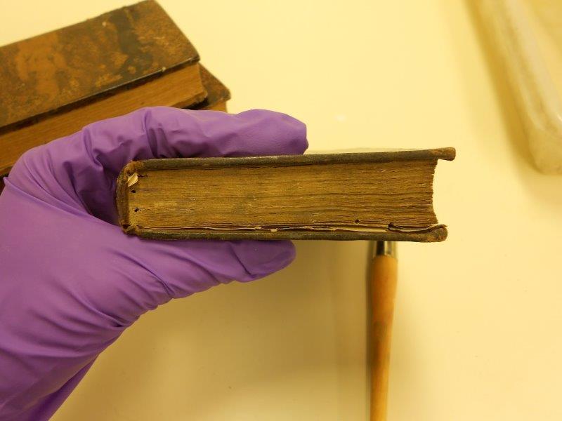 natlibscot's tweet photo. We're looking for a Conservator (maternity cover). You will be involved in the treatment of our collections and will provide conservation advice and guidance for staff across the Library. The post is fixed-term for 11 months at a salary of £33,665. Apply > https://t.co/4JRNcGjt3N https://t.co/Wc66qPvPnn