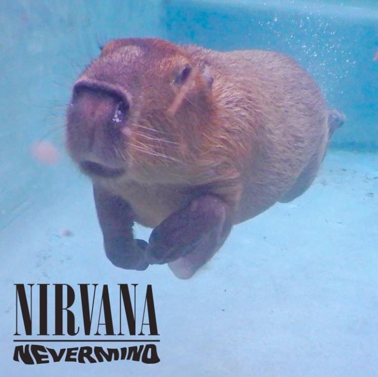 Nevermind (1991)