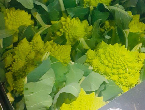 A few pics from todays intake! Some lovely produce going out tonight 👏🏻👏🏻