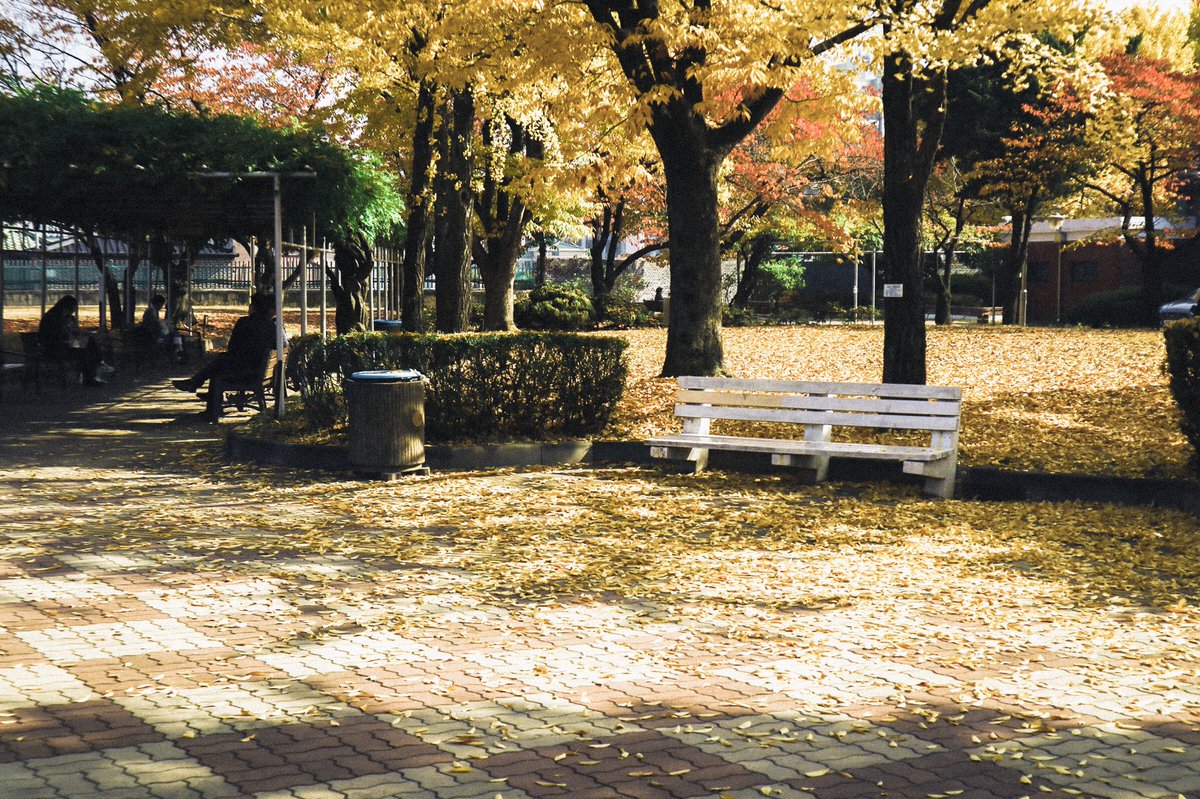 wliu115's tweet photo. Autumn. https://t.co/BSrHAea6SR