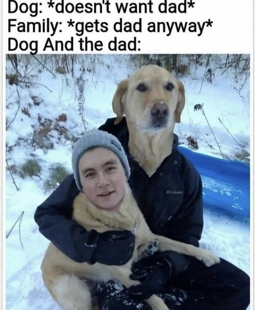 WholesomeMemes (@wholesomememe) on Twitter photo 