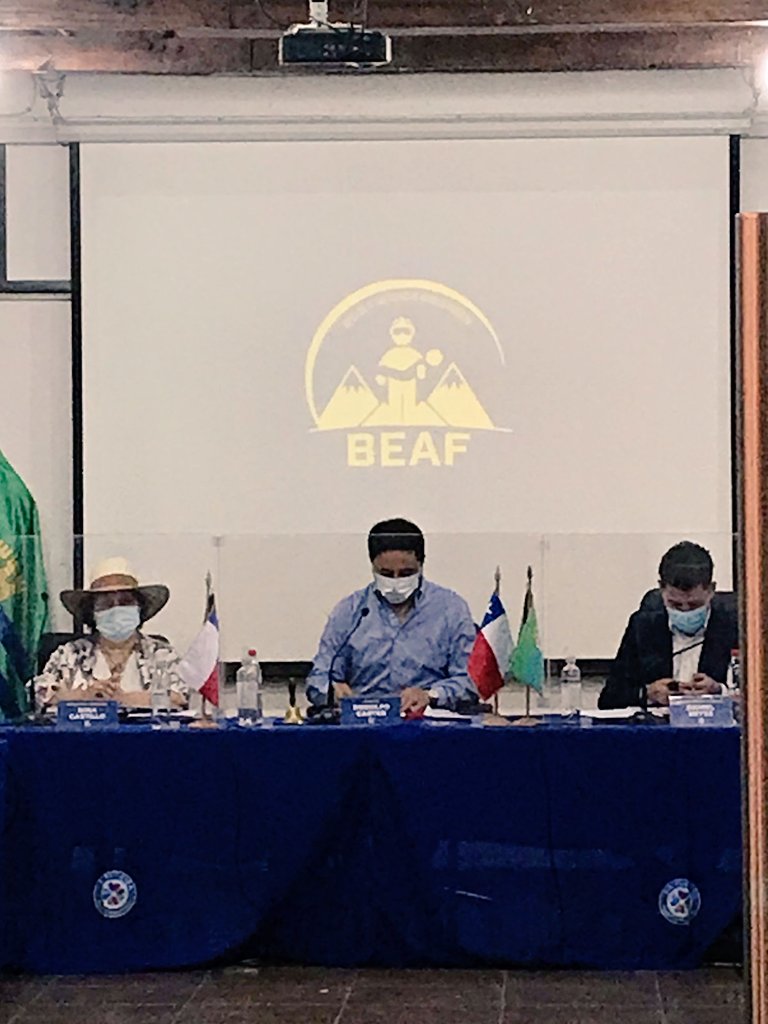 1ª Brigada Forestal Voluntaria de Chile tweet media