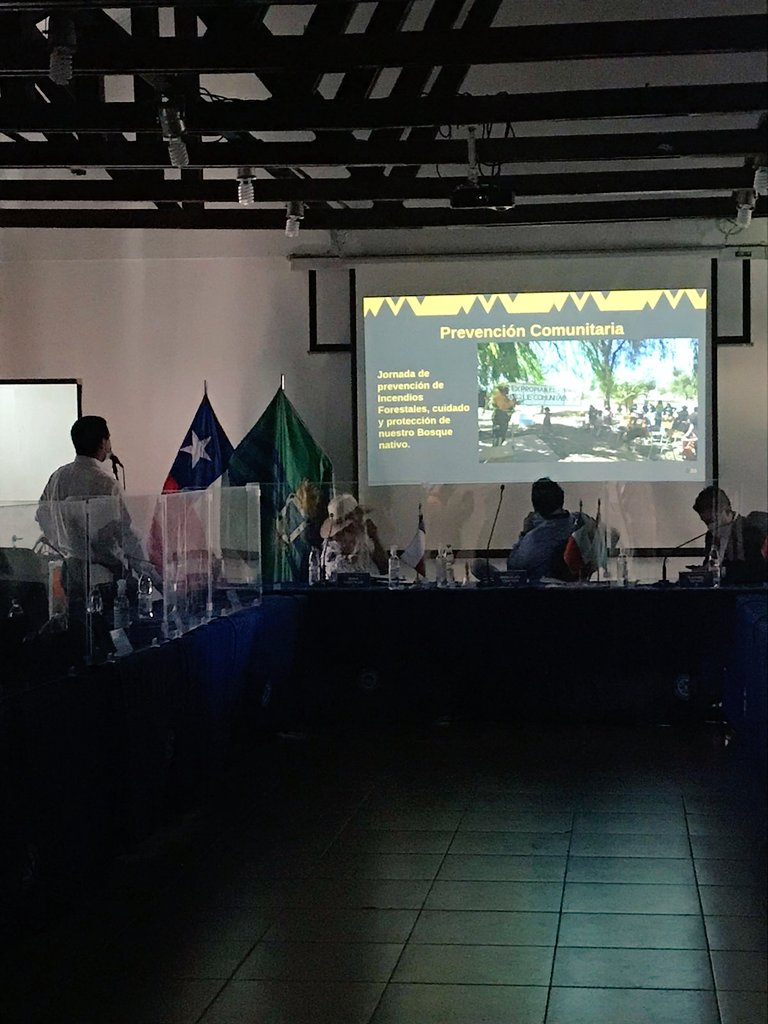 1ª Brigada Forestal Voluntaria de Chile tweet media