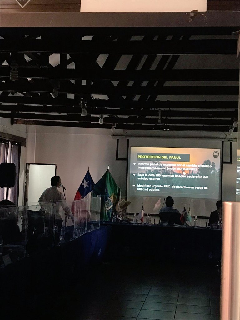 1ª Brigada Forestal Voluntaria de Chile tweet media