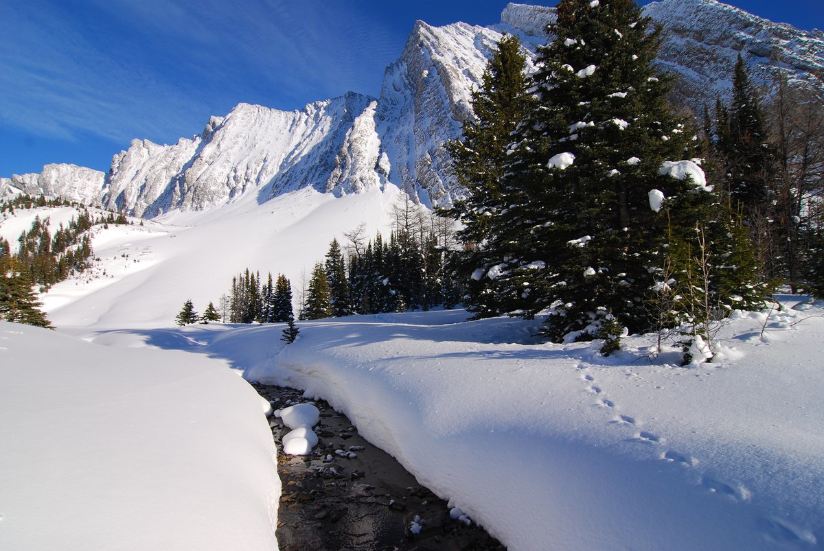 Albertaparks's tweet photo. It’s important to #KnowBeforeUGo. Always check for current advisories and trail reports on https://t.co/pqpuZHIt71 before you visit our parks. If you’re headed to the mountains, always check avalanche reports at https://t.co/XTTRX5trzS. https://t.co/HHKaKggUSW