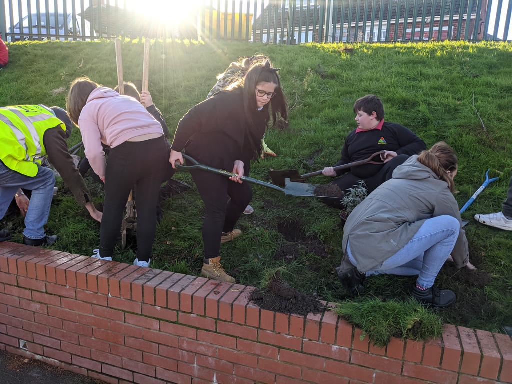 MaesYMynydd's tweet photo. After learning about the challenges facing our planet, year 6 decided to take action! Not only did they persuade local companies to donate generously, they also showed brilliant teamwork and resilience this morning to get everything planted. #ClimateAction #curriculumforwales https://t.co/YgFzodVNN9