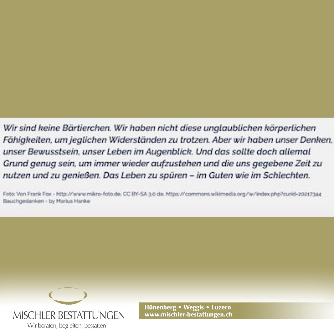 Reingedacht Folge #9

#bestatter #bestatterin #bestatteralltag #lifestyle #grab #trauer #abschied #friedhof #tod #leben #fürimmer #ewigkeit #bestattermitherz #liebe #lesenswert #gedanken #lesen #zeit #luzern #bern #zug #weggis #schweiz #switzerland