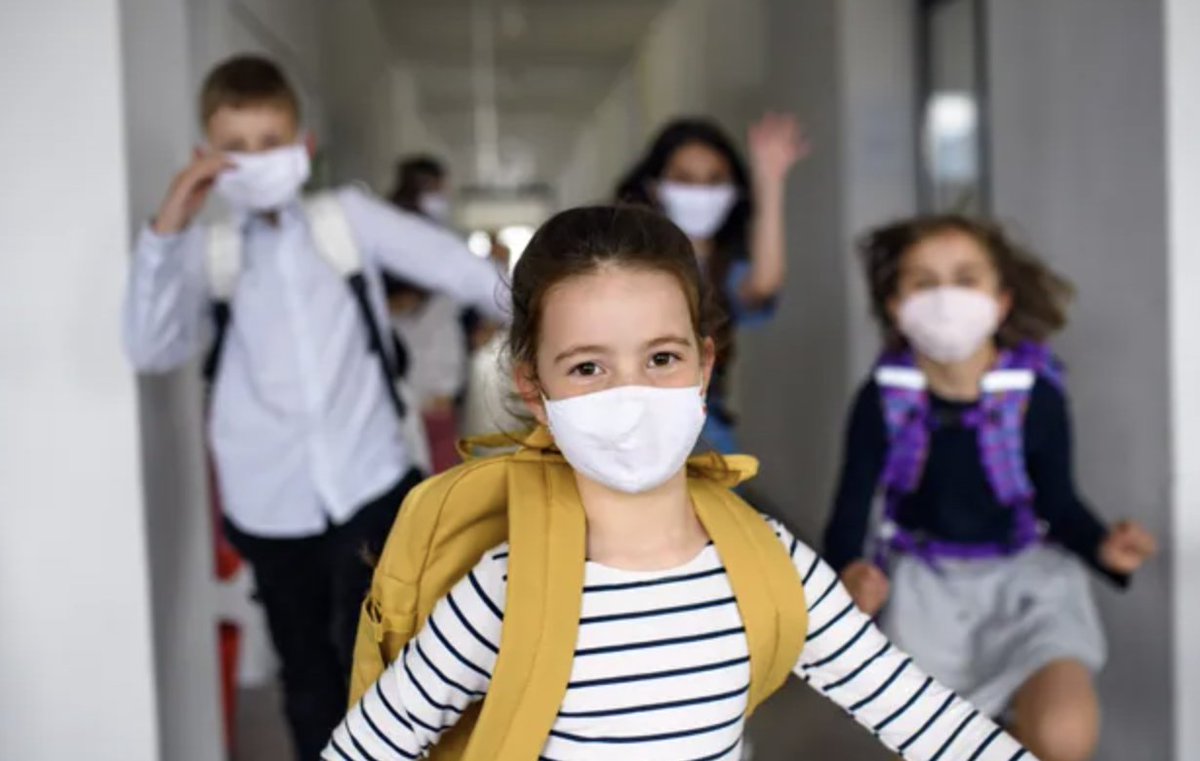 Elementary School at Efgb: the curriculum is based on the French National Curriculum. Interested in enrolling your child?
efgboston.org/register/