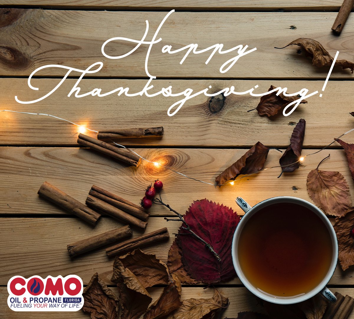 Happy Thanksgiving from our Family to yours!