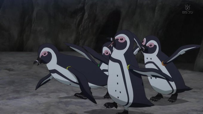 ペンギンのくちばしは結構固いからガチでどつきあったら結構痛そうです
この亀の剥製昔祖父母の家にもありましたね

私昔リクガメ飼ってたんですよね
10年前の4月にお亡くなりになったけど
そういうのがあってって訳じゃないけどちょっとくるものありましたね今回
#白い砂のアクアトープ 