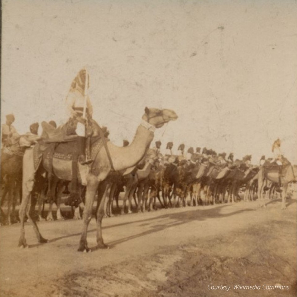 Sahapedia's tweet photo. #RootsOfRajasthan | #SahaSutra | We take a ride with the camel cavalry of Maharaja Ganga Singh, a deep dive into the elephant stables of the fort and finds out about an Air Force that never came into being: https://t.co/EelePPVUle
@RoyalRajasthanF https://t.co/1zfwvCbTTJ