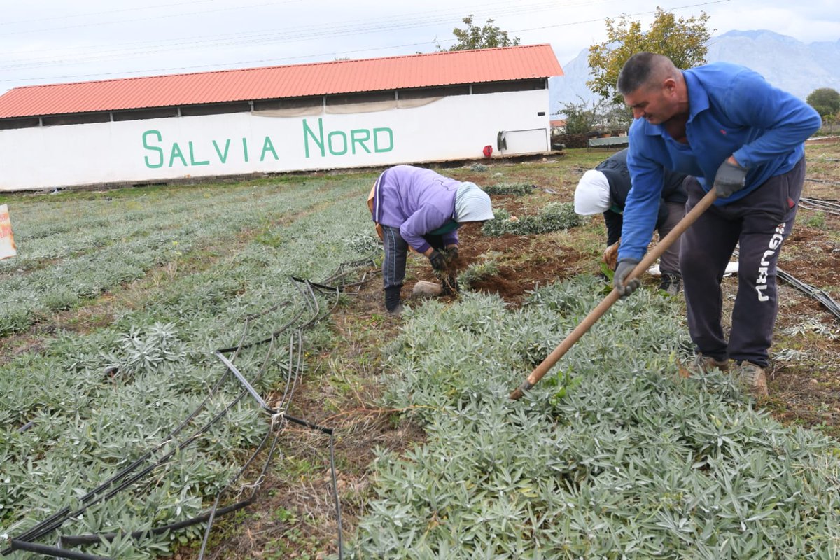 EU in Albania tweet media