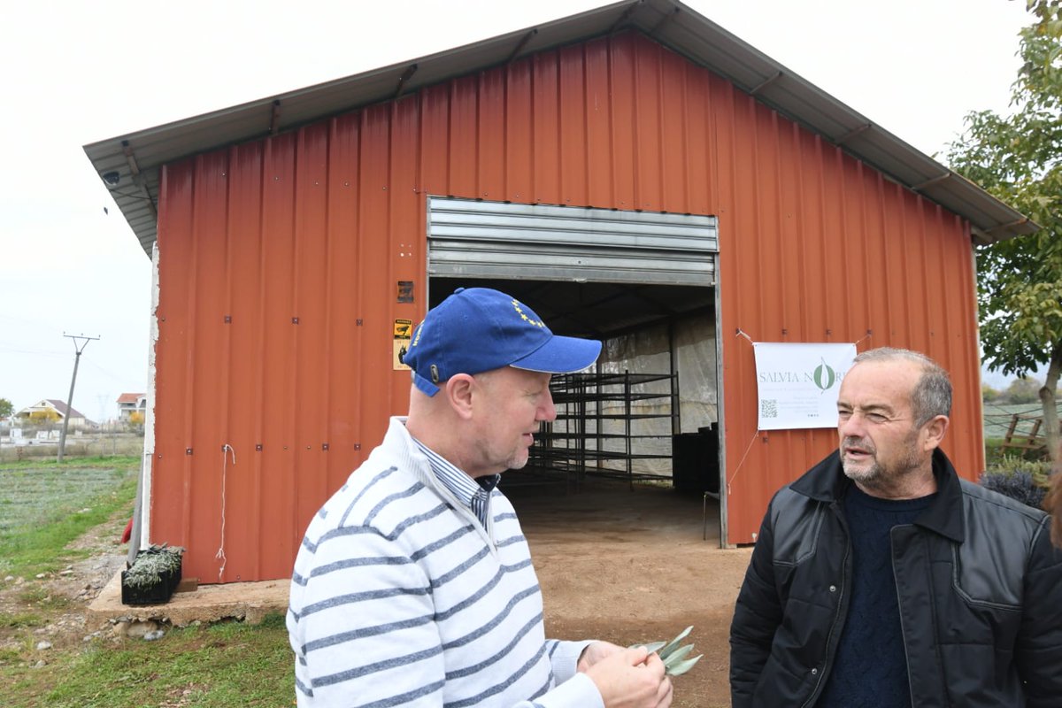 EU in Albania tweet media