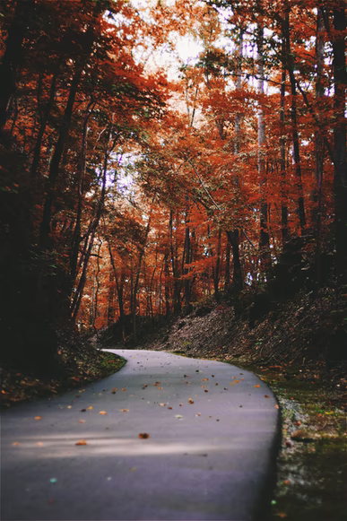 interiorsofcolo's tweet photo. "I am grateful for what I am and have. My thanksgiving is perpetual." –Henry David Thoreau

We couldn't have said it better! Happy Thanksgiving, everyone! What are you thankful for this year? https://t.co/kfiI0LqXwO