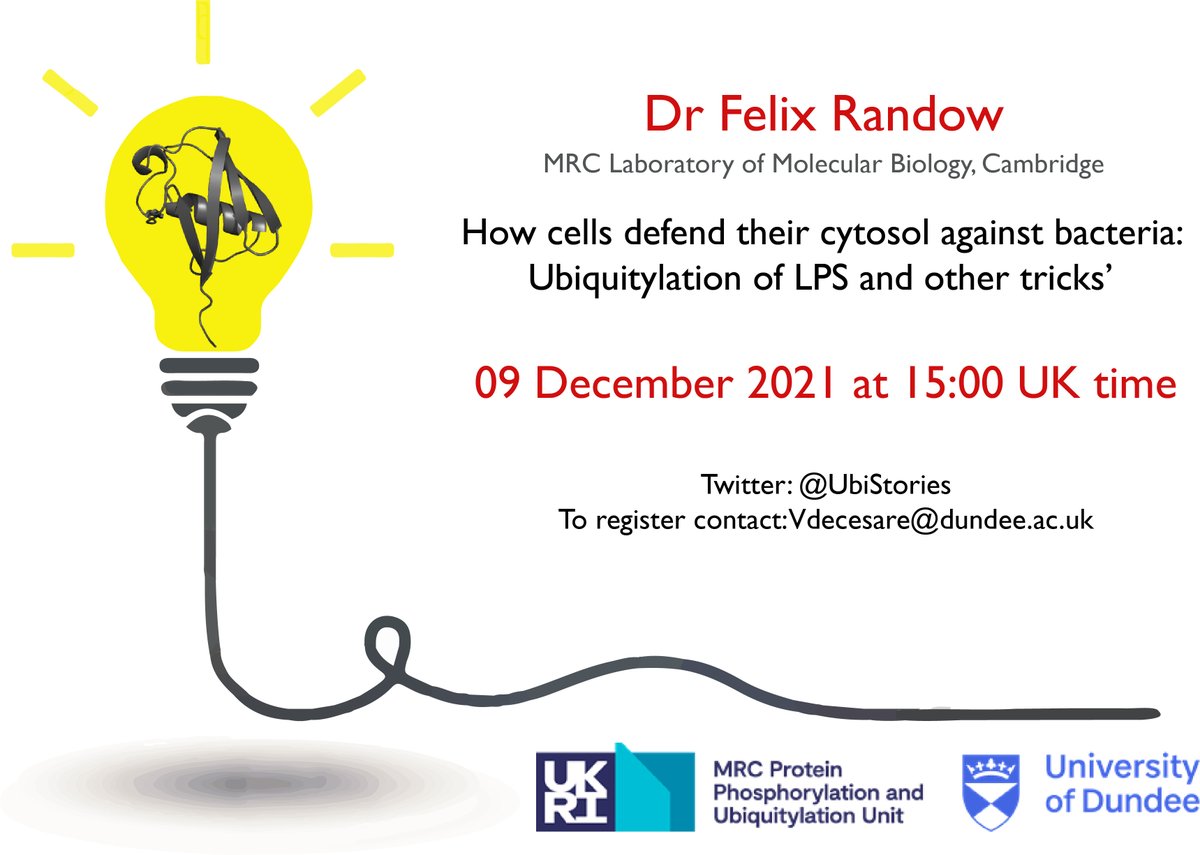 Ubiquitylation of lipopolysaccharide???
Non-canonical ubiquitylation seminar series: 
Dr Felix Randow - 09 December 2021. Follow us on <a href="/UbiStories/">Ubiquitin Stories</a> #ubiquitin #authophagy #bacteria  #seminar