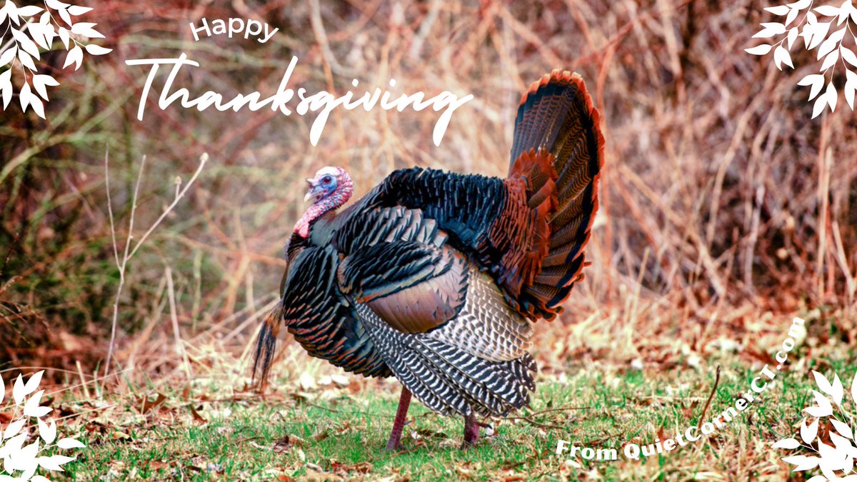 Happy Thanksgiving from the Quiet Corner! #QuietCornerCT #QuietCorner #Connecticut #Thanksgiving