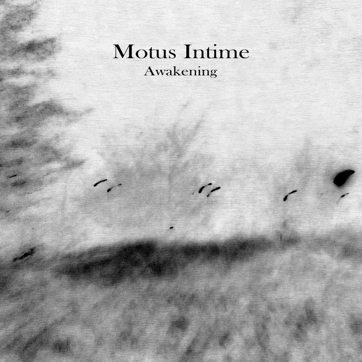 La bèl netlabel tweet media