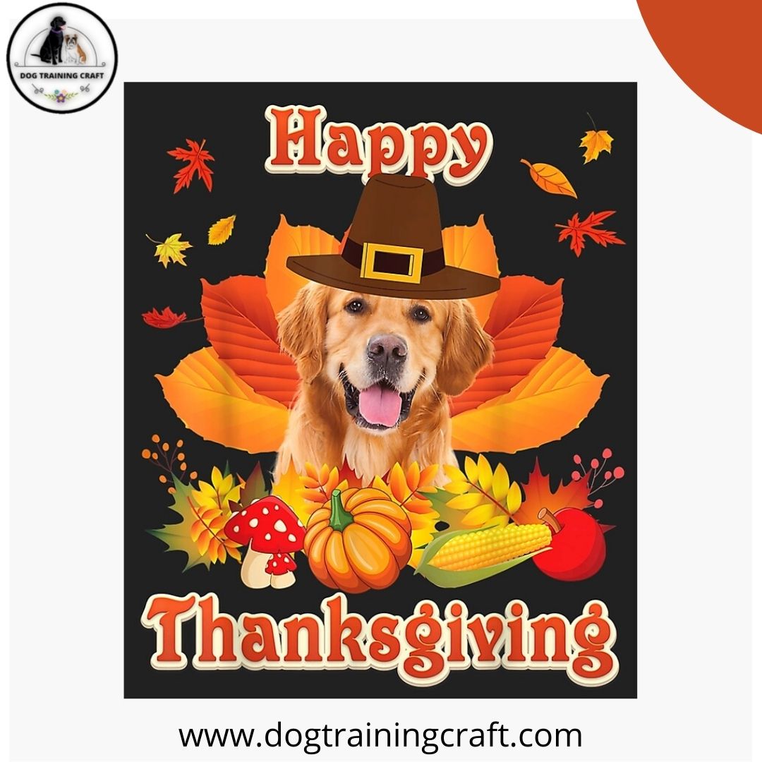 Express your gratitude on this Thanksgiving, not because you should, but because your life is complete and your heart's content. 
Happy Thanksgiving.
#thanksgiving #thanksgivingwishes #thankfulthursday #thanksgiving2021 #gratitude
