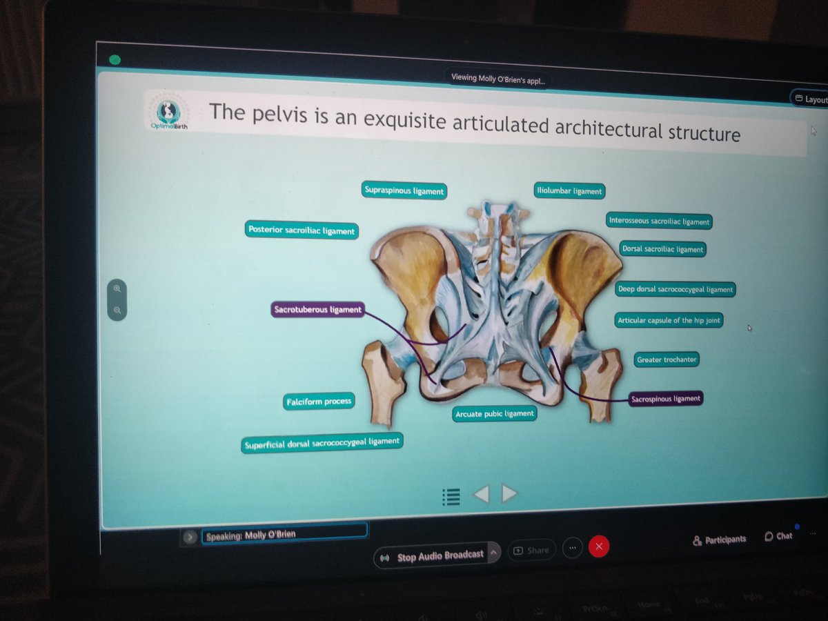 Marytcurtin's tweet photo. We have all said "open your legs to make more space for the baby" but this is not anatomically TRUE! So, make sure you don't say it any more!π #physiologicalbirthIRE https://t.co/J9PYsJGJJI