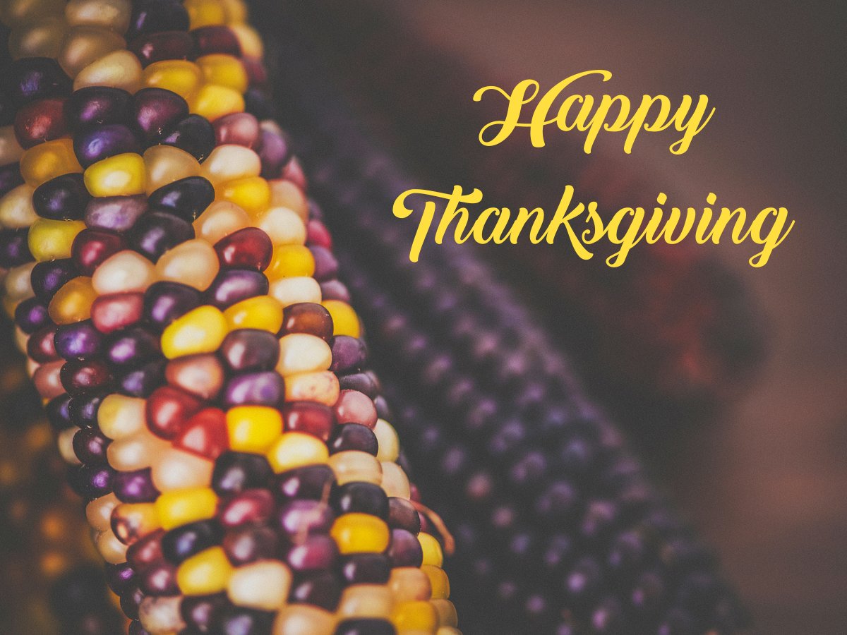 Damian Hall Group tweet media