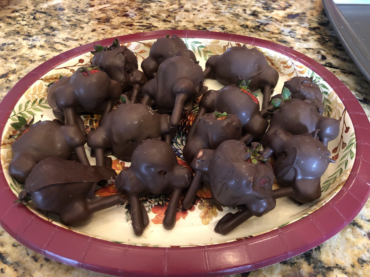 DarylChandler's tweet image. The culinary boys put together their chocolate covered strawberry turkeys!