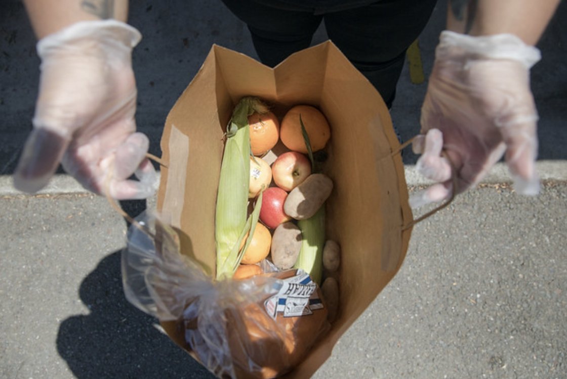 FOPL_Bookmark's tweet photo. @oaklibrary distributed more than 214K free meals + 15K bags of produce to those in need during the pandemic. Show your gratitude to the library by donating this Thanksgiving. #GivingTuesday https://t.co/EtWLFyi7Sd https://t.co/j8wWB7hIAS