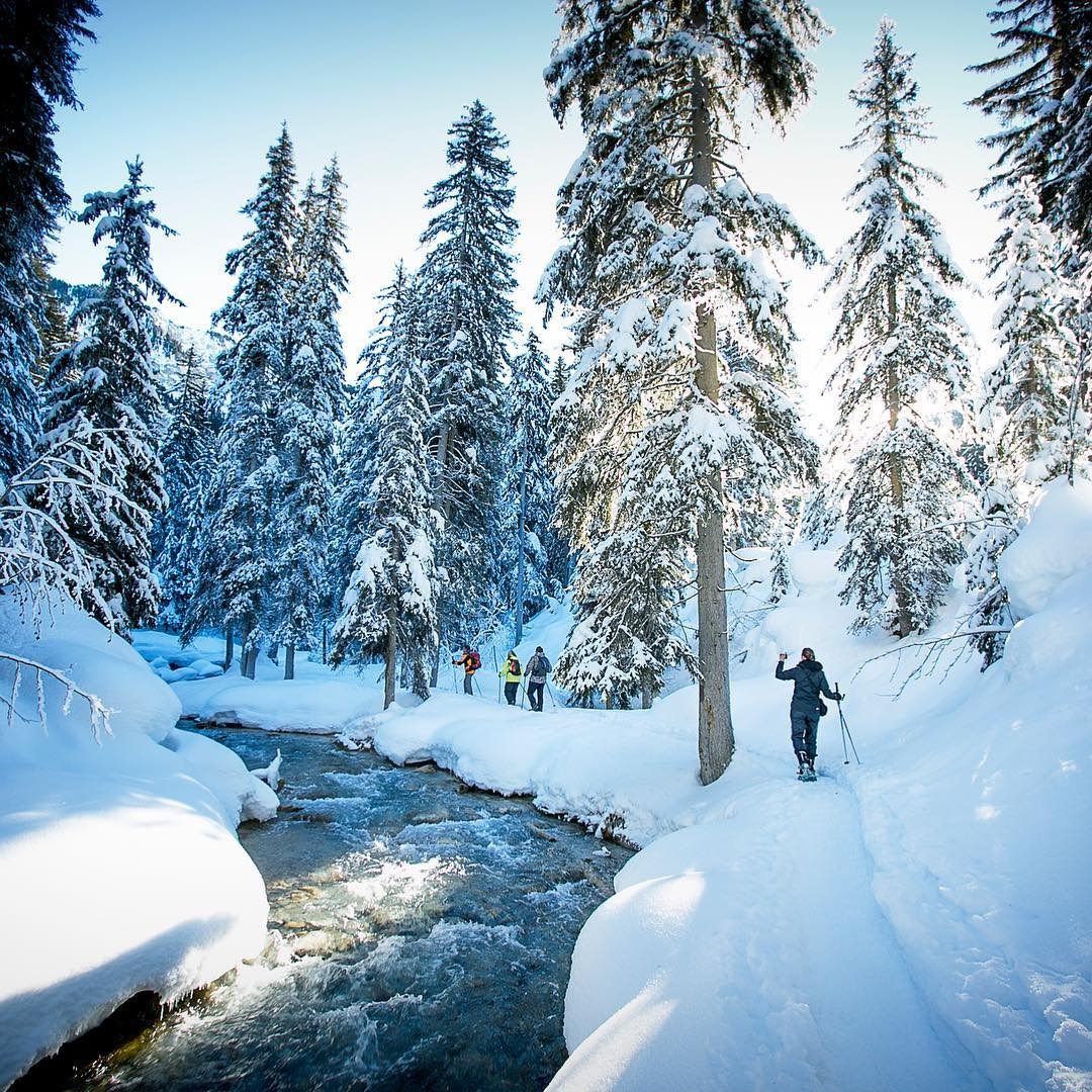 Westay's tweet photo. Tucked between mountain and sky, Courchevel 1850 is a stand-out magical resort combining tradition and luxury.

Hôtel Barrière Les Neiges

#barrierelesneiges #barrieremoments #courchevel #lhwtraveler #luxurylifestyle #luxurytravel #westay #timetotravel #ski #honeymoondestination https://t.co/FfvJA9k5Pe
