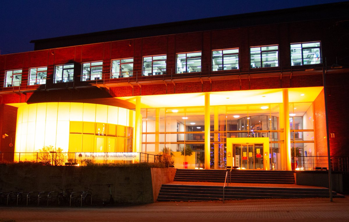 MPI Dortmund (@mpimoph) on Twitter photo Today is #orangeday  the international day for the elimination of violence against Women! 
Heute ist #orangeday wir setzten mit <a href="/stadtdortmund/">Stadt Dortmund</a> ein Zeichen gegen Gewalt an Frauen und Mädchen #OrangeDays  #OrangeTheWorld Today is #orangeday  the international day for the elimination of violence against Women! 
Heute ist #orangeday wir setzten mit <a href="/stadtdortmund/">Stadt Dortmund</a> ein Zeichen gegen Gewalt an Frauen und Mädchen #OrangeDays  #OrangeTheWorld