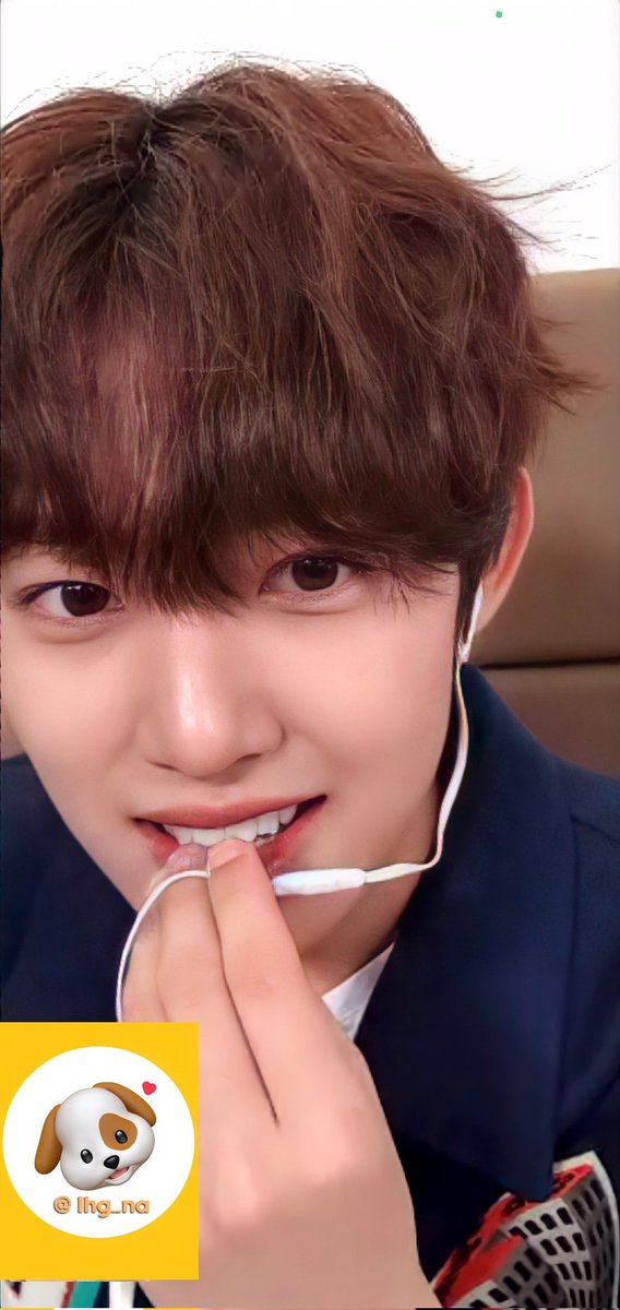 녕녕이 tweet media