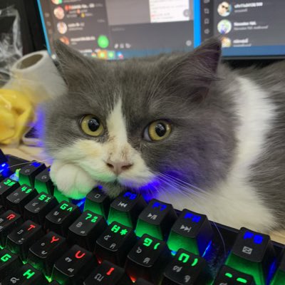 basbas064238's tweet photo. #NewProfilePic https://t.co/vPzKfxdqaN