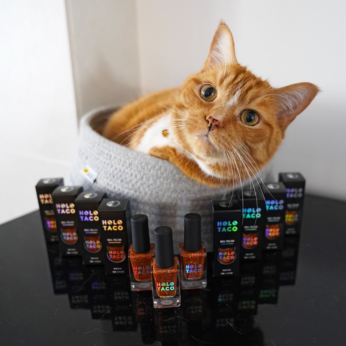 holotaco's tweet photo. It's that time of year where we reflect on what we're most thankful for... which of course includes H๐ฟL๐ฟ, cats, and tea!!! ๐ Most importantly, we're thankful for all of you in the Holo Taco community! โค๏ธ๐
#zylerthecat #menchiethecat #matchamaker #goldflaketaco #holotaco ๐ฟ๐ฎ https://t.co/42uvZJtt9s