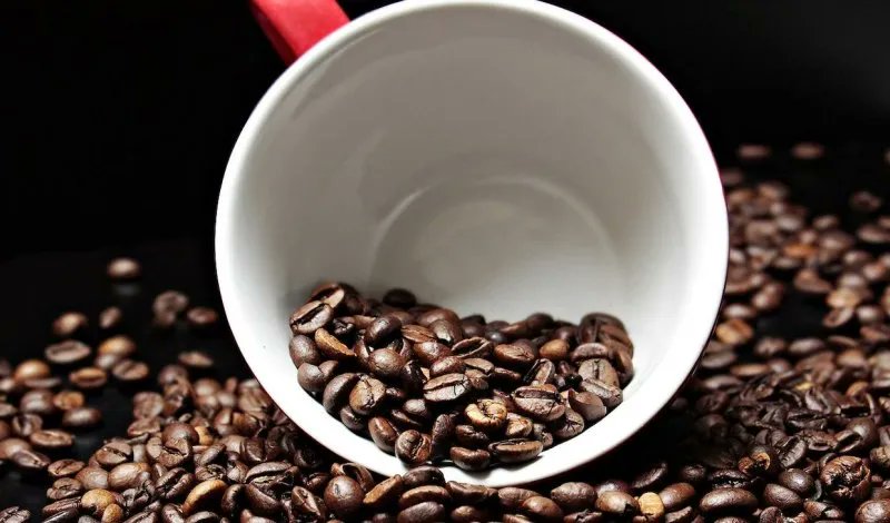 Memli Coffee Lab tweet media