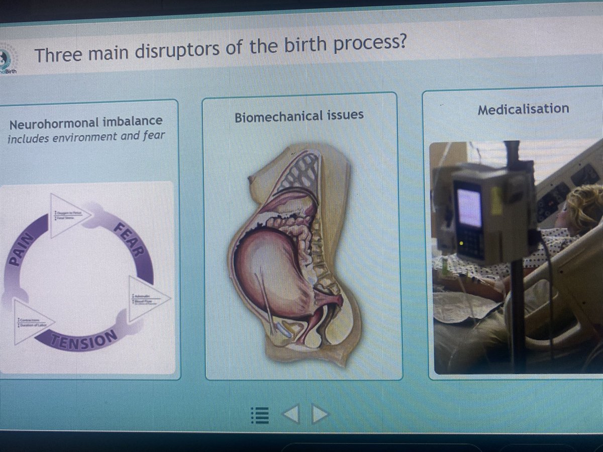 carmelconnolly4's tweet photo. The importance of women understanding the physiology of birth,the importance of movement , as the Midwife stands by in Watchful Attendence . @MollytheMidwife .. ever inspiring as always . The neurohormonal dance β¦#physiologicalbirthire @CNMEGalway @margquig @dixonaisling https://t.co/FCkjIOEvct