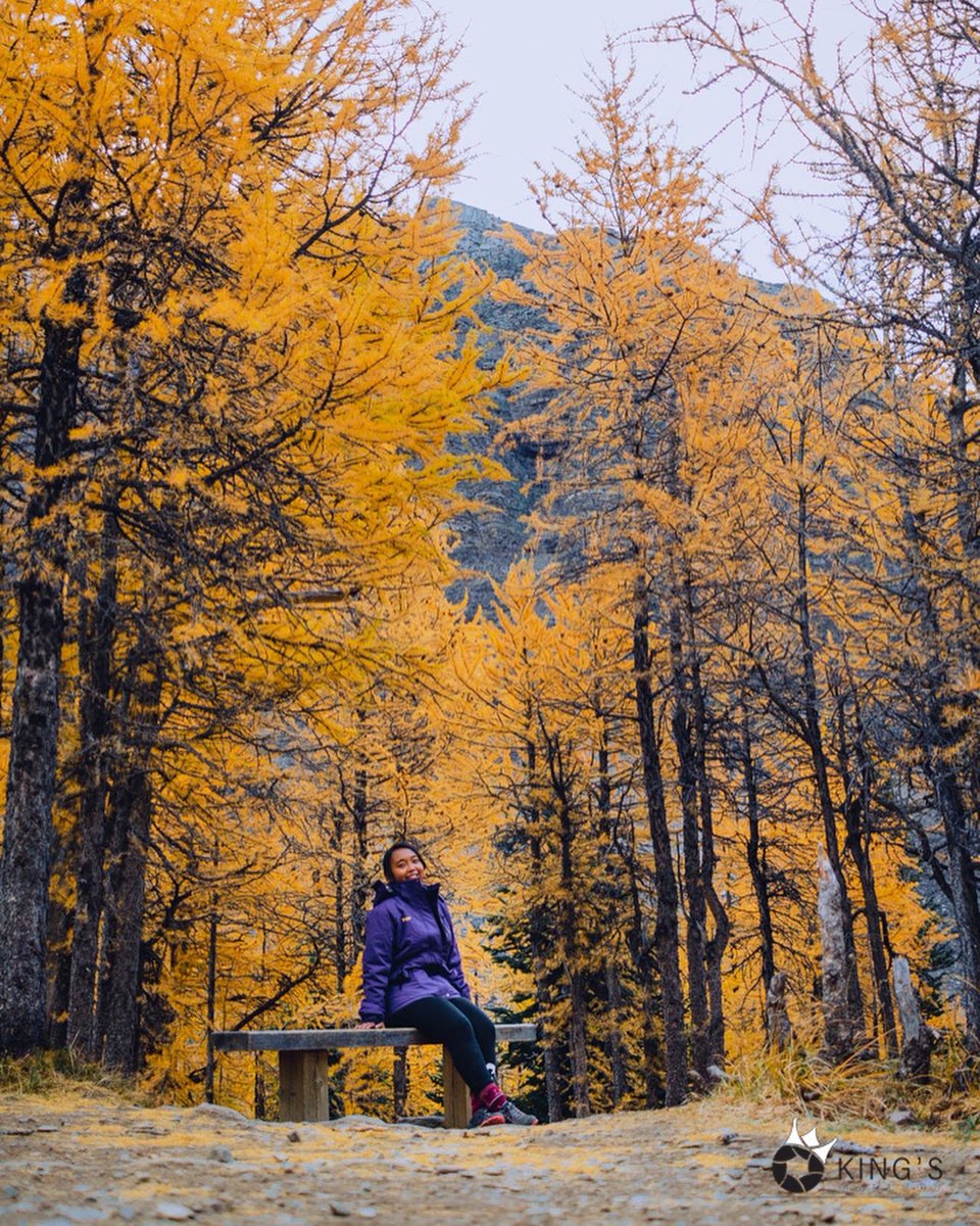 janielevs's tweet photo. If I had a sharingan, I would memorize every detail of this view to mind #AlbertaHike #OnlyInAlberta  😭 🍁 https://t.co/tgBXrTuKX4