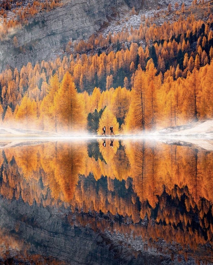 earthoffiicial's tweet photo. Autumn in the Dolomites | via: reneeroaming https://t.co/MaVZ2ker3O