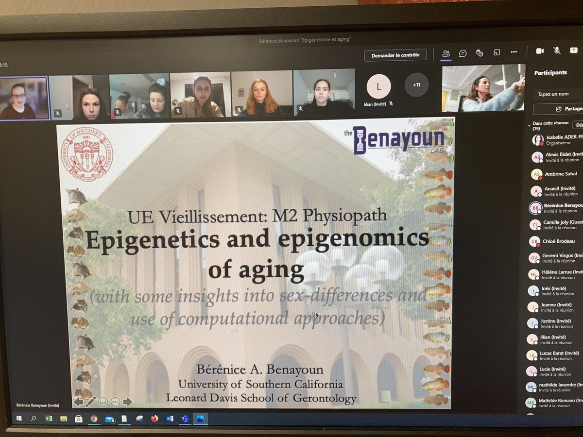 isaperarnau's tweet photo. Fantastic lecture from Berenice @BBParis1984 to M2 students « physiopathologie » for UE aging from @Univ_Toulouse @RestoreInstitut. Thank you Berenice for the time you spent with us tonight live from Los Angeles on thanks giving day... https://t.co/IoXreecPI4