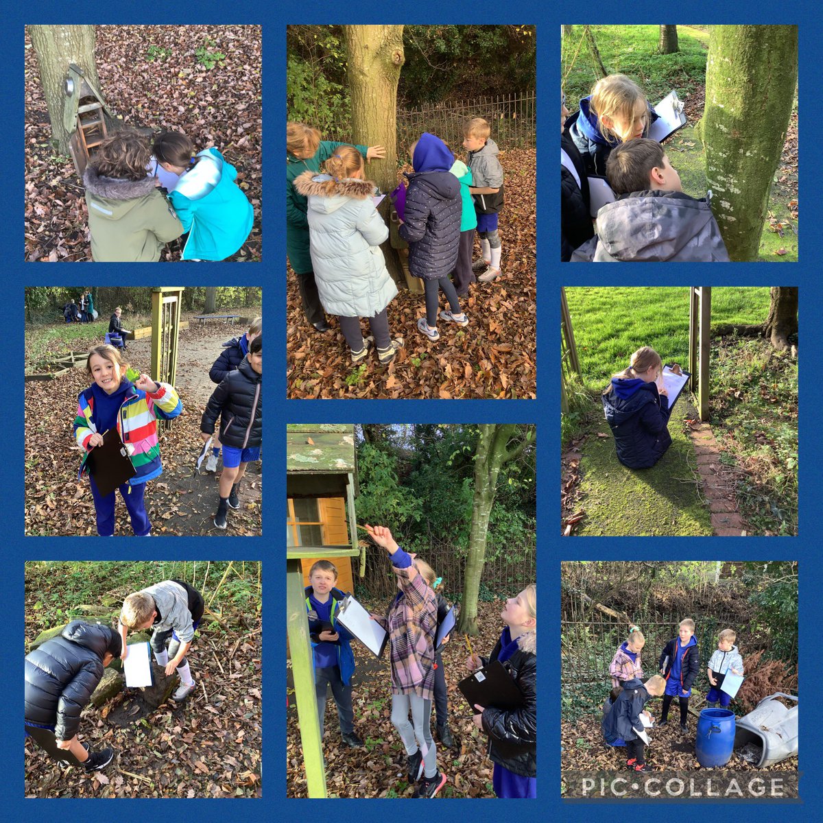 crontony4's tweet photo. Developing our observation skills in science by looking for living things in the environment. https://t.co/c1jK0KUW8n