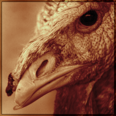 💀DEAD HUMOR🤣 tweet media