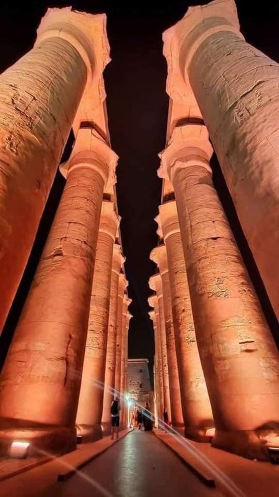 CFoukah's tweet photo. مصر جاءت اولا ثم جاء التاريخ
احنا بلد صنعت التاريخ ماحدش يكلمنى عن  اى بلد تانيه ويقارنها بالعظمه اللى عندنا احنا حضارة والابهار❤💖😍
#طريق_الكباش 
#مصر_الحضارة
#تحيا_مصر https://t.co/5boRYBxABu