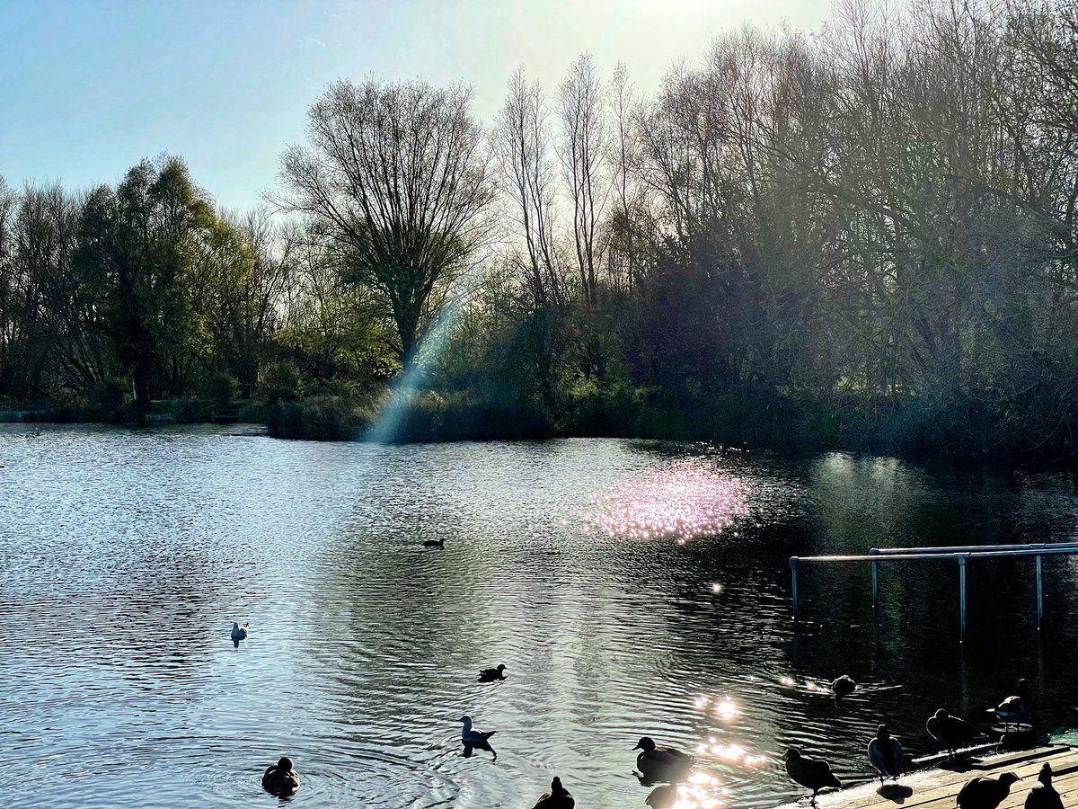nikkilewisphoto's tweet photo. Catching a few rays down by the lakes today.
#stanboroughlakes #stanborough #lakes #sunshine #wintersun #autumnsun #sun #rays #nikkilewisphotography #nikkilewisphotos #hertfordshire #herts #hertslife #wgc #welwyngardencity #ducks #gulls #coots #swans #cynets #fall https://t.co/3CMQ8N3gV0