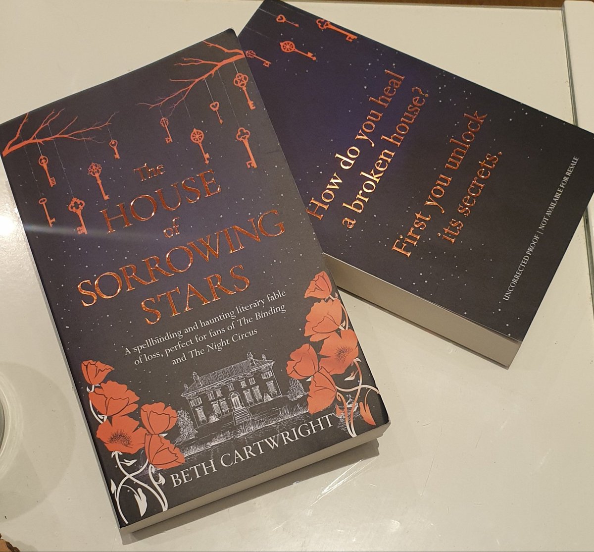 BethCartwriter's tweet photo. Just got home to find these gorgeous proofs.
โค๐
@sambradbury89 @AriellaFeiner @DelReyUK
#THOSS #TheHouseOfSorrowingStars https://t.co/uFS2xSn0MZ