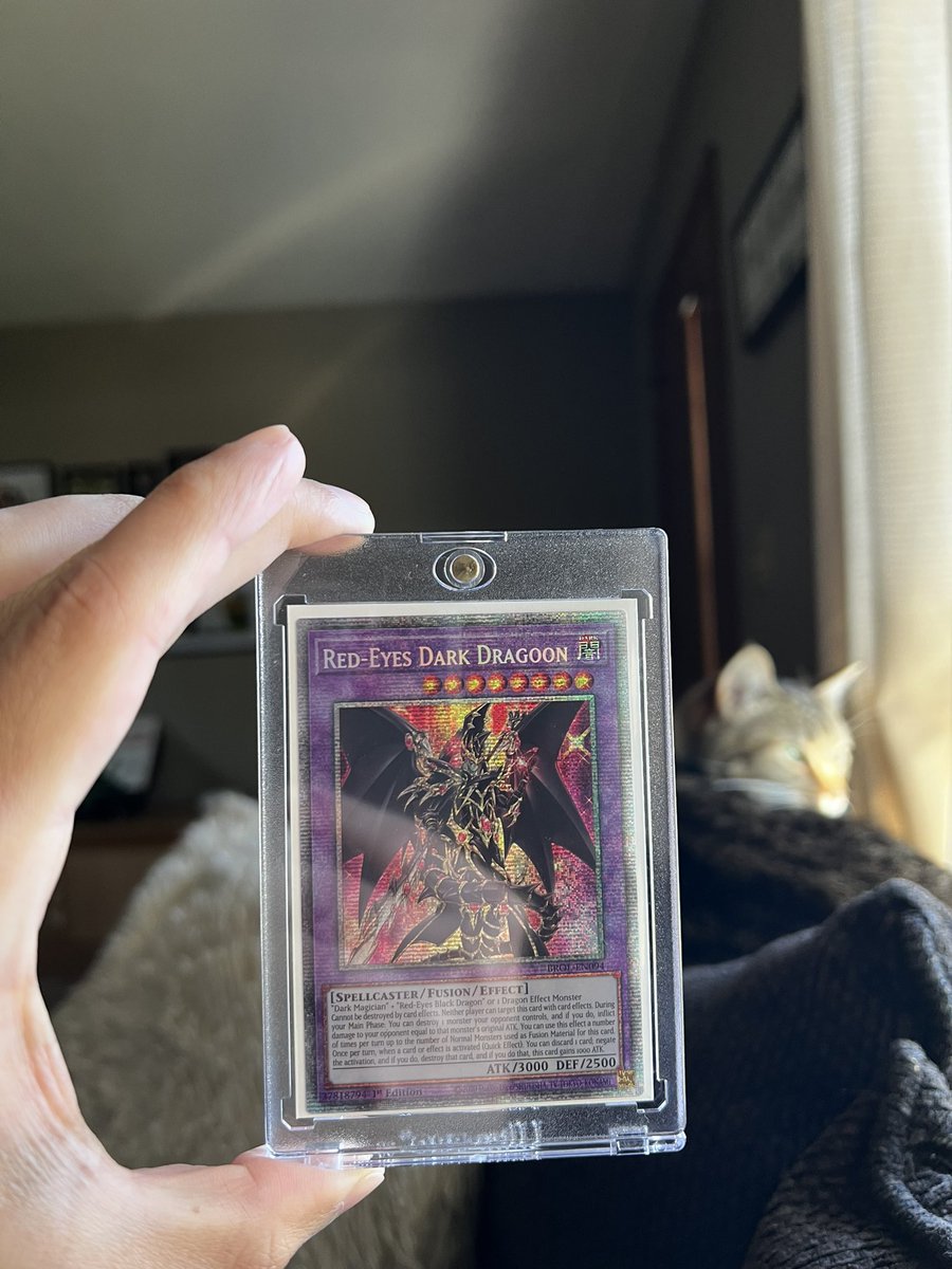 Best Starlight yet? 🤩 
•
•
•
#yugiohtcg #psa10 #yugioh #brothersoflegend #starlightrare #YGOCollection #redeyesdarkdragoon #dragoon