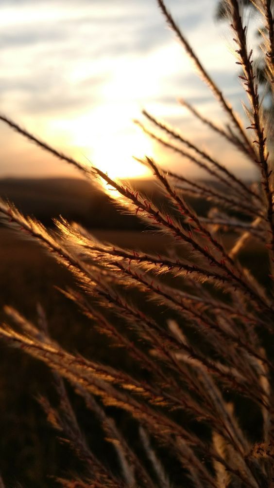 artyotnik's tweet image. Под маяком всегда темно.