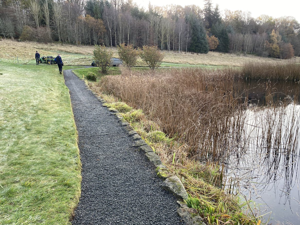 Getting into some winter tidy up jobs now on these frosty mornings ❄️