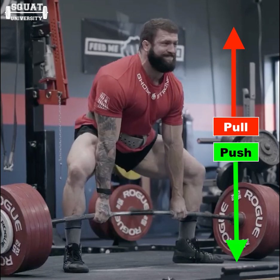 SquatUniversity's tweet photo. The deadlift is a pull AND a push! Learning proper leg drive is key!!! https://t.co/05NvQyu0sh