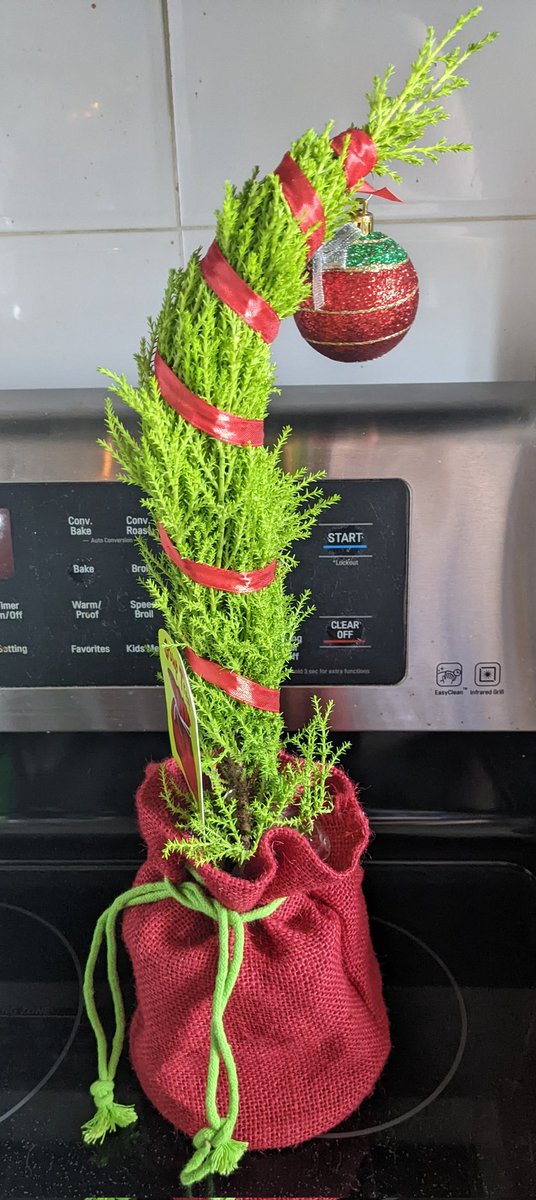 xgunsblazingx's tweet photo. @KimMerville would approve of my new friends ..heh
#lavender #grumptree https://t.co/WcC7jmM5FD
