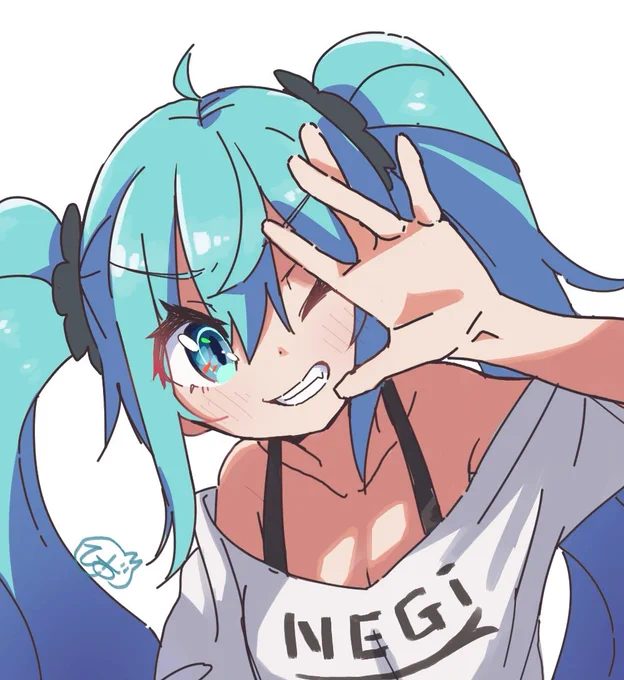 ミクちゃん 