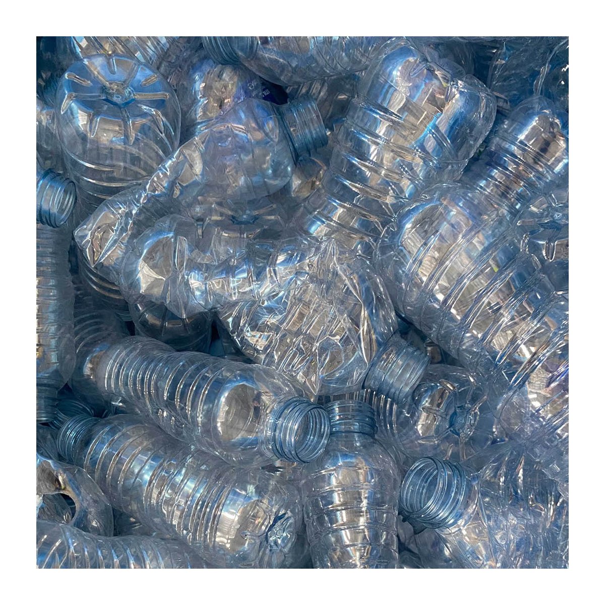 Day 10 of 12 days of Christmas: Plastic Bottles ♻ Plastic Bottles (PET, sometimes PETE) can be recycled and used to manufacture new bottles, containers, thermoform packaging, strapping and are also used in fiber applications such as carpet and apparel.