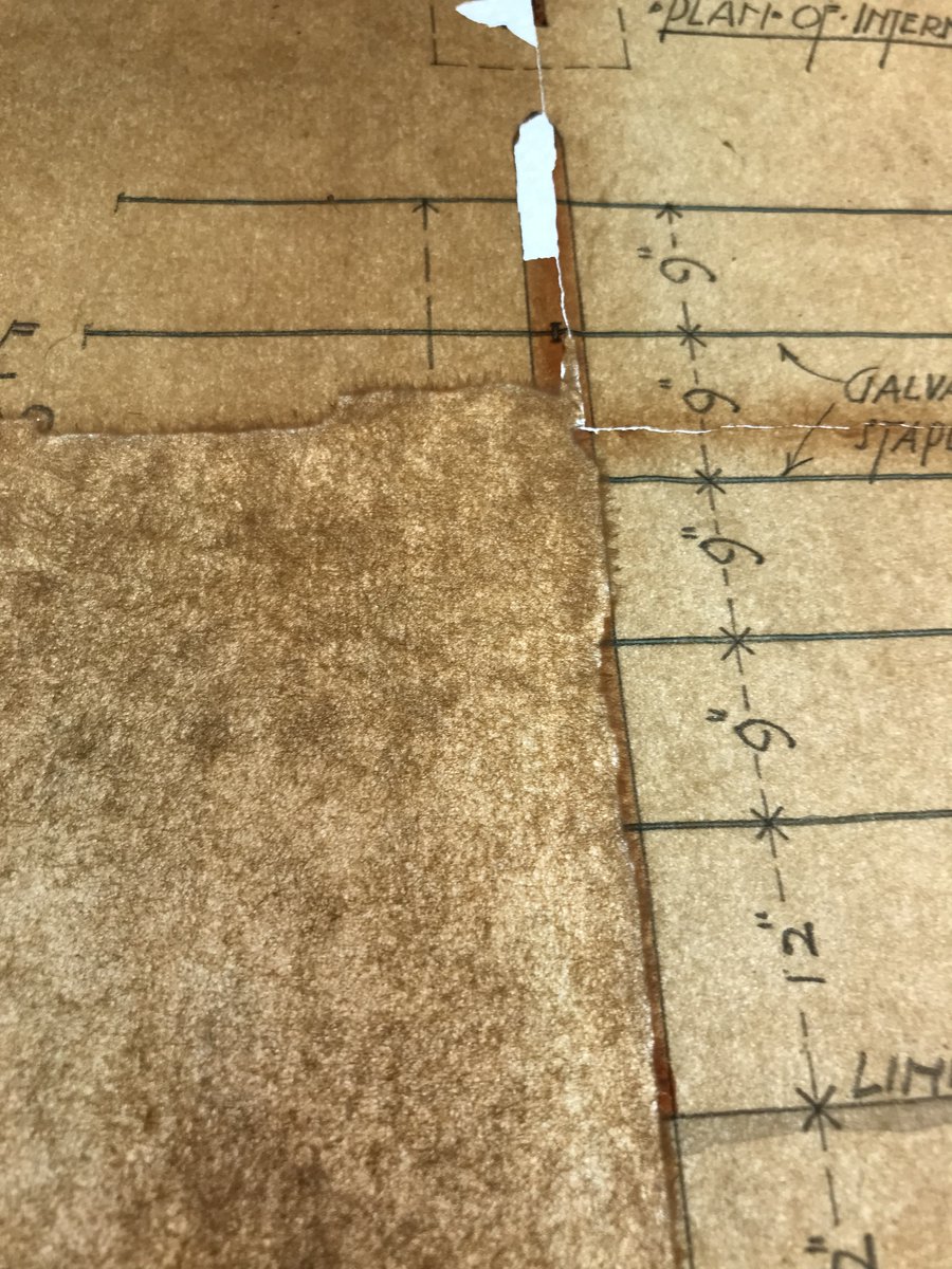 Tracing paper jigsaw day 4 - toning paper for infills and fitting them to the losses has begun. Watch this space for the after treatment photos <a href="/HistEnvScot/">Historic Environment Scotland</a> #ExploreYourArchive #conservation